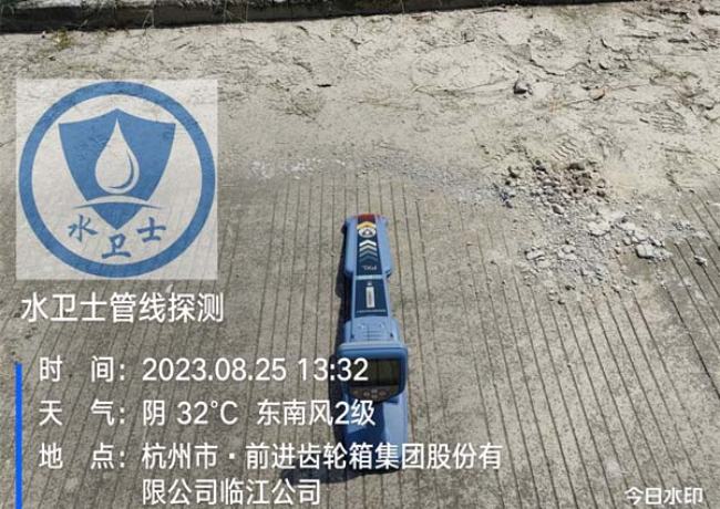 上海地埋电缆探测案例-杭齿集团临江公司